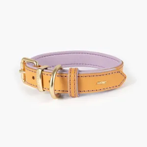 EzyDog Oxford Leather Dog Collar Blonde and Lilac Large